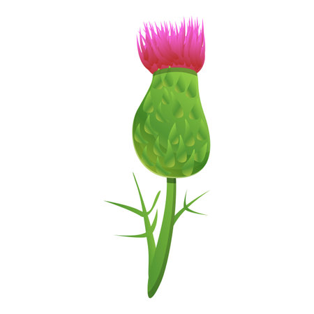 Thistle blossom flower icon, cartoon styleのイラスト素材