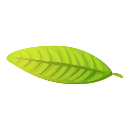 Party leaf plumeria icon, cartoon styleのイラスト素材