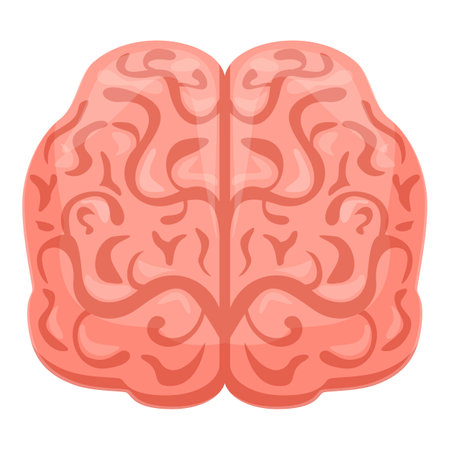 Human brain front icon, cartoon styleのイラスト素材