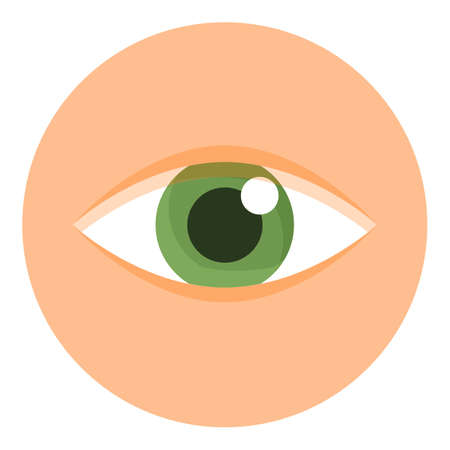 Eye organ icon. Cartoon of eye organ vector icon for web design isolated on white backgroundのイラスト素材