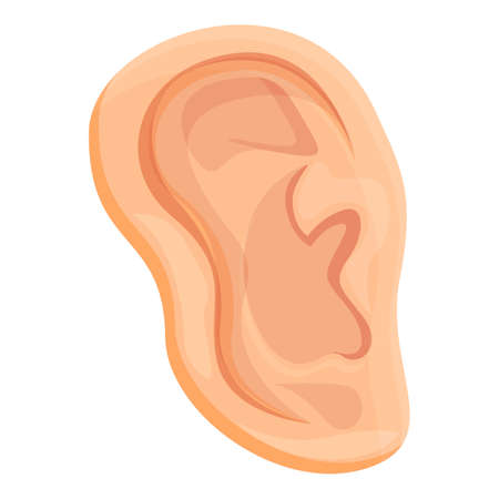 Ear body organ icon. Cartoon of ear body organ vector icon for web design isolated on white backgroundのイラスト素材