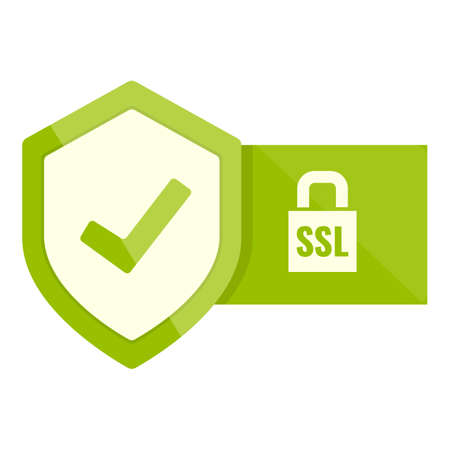 Key ssl certificate icon. Cartoon of Key ssl certificate vector icon for web design isolated on white backgroundのイラスト素材