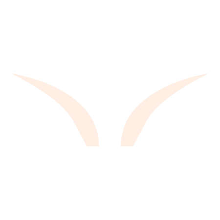 Light eyebrows icon. Cartoon of Light eyebrows vector icon for web design isolated on white backgroundのイラスト素材