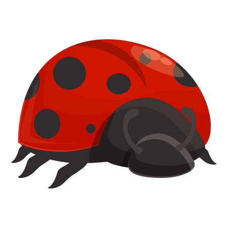Summer ladybug icon cartoon vector. Ladybird bug. Beetle insectのイラスト素材