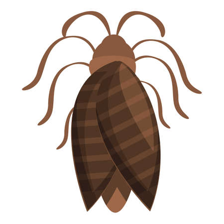 Insect icon cartoon vector. Nature fly. Wildlife bugのイラスト素材