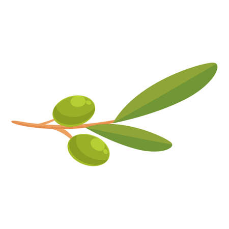 Virgin olive plant icon cartoon vector. Oil food. Green fruitのイラスト素材