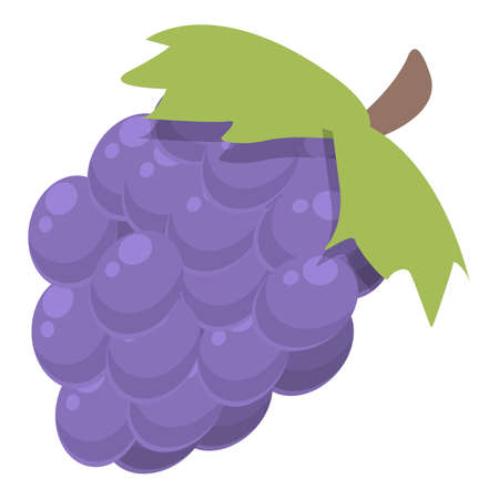 Argentina grapes icon cartoon vector. Argentina food. Travel americaのイラスト素材