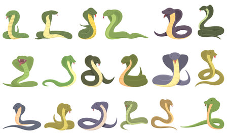 King cobra icons set cartoon vector. Snake animal. Head agressionのイラスト素材