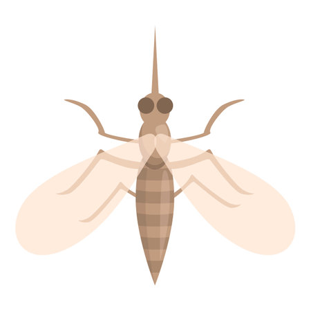 Mosquito insect icon cartoon vector. Dengue protection. Fly infectionのイラスト素材