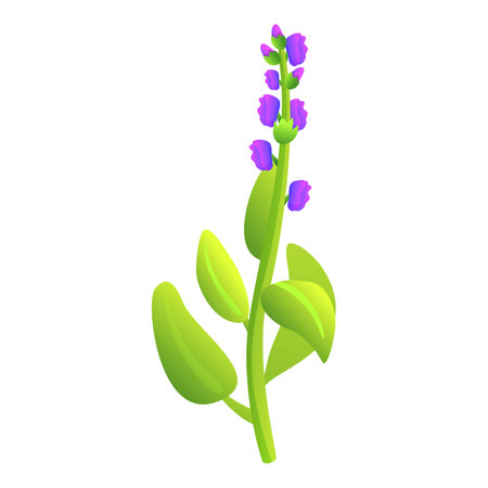 Sage icon cartoon vector. Leaf plant. Flower herbのイラスト素材