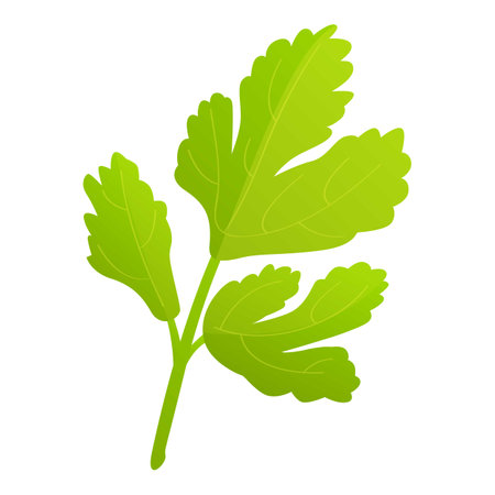 Parsley herb icon cartoon vector. Fresh plant. Vitamin greenのイラスト素材
