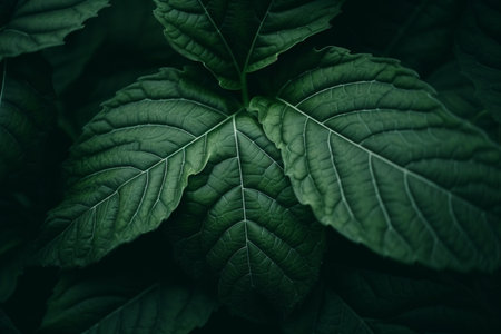 green leaves background. nature summer fashion. Generate AIの素材