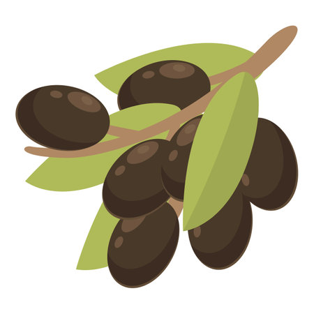 Olives icon cartoon . Black olive. Greek foodの写真素材