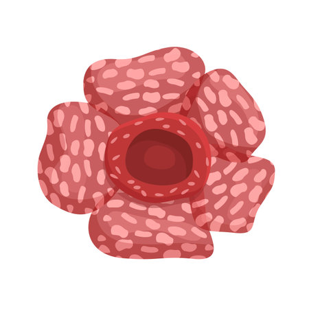Dotted flower icon cartoon vector. Red flower. Arnoldii botanicalのイラスト素材