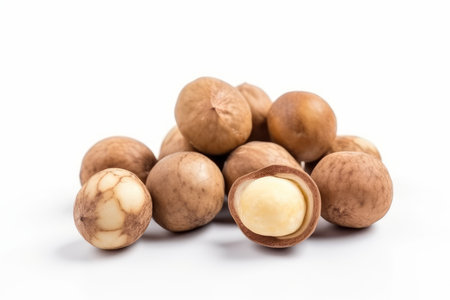 Macadamia nuts white background. Snack organic seed. Generate AIの素材