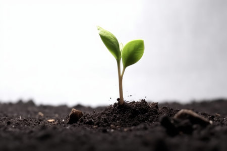 Plant sprout ground. Grow leaf. Generate AIの素材