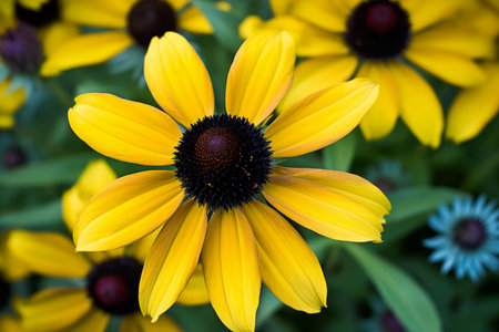 Yellow flower blue garden. Summer design. Generate AIの素材