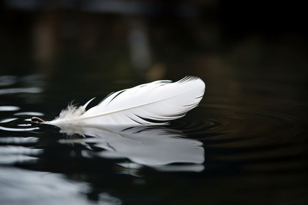 White feather floating lake water. Closeup calm clean water nature. Generate Aiの素材