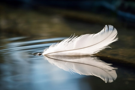 White feather floating water calm. Object gentle reflection perfect pure. Generate Aiの素材