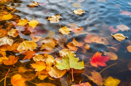 Fall leaves in water pond. Colorful autumnal leafage on water surface. Generate aiの素材