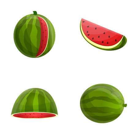 Ripe watermelon icons set cartoon vector. Fresh juicy watermelon. Vegetable, healthy nutritionのイラスト素材