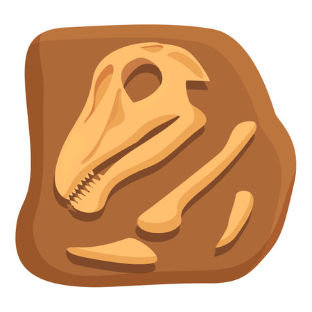 Head bones dinosaur icon cartoon vector. Stone fossil. Nature mud layerのイラスト素材
