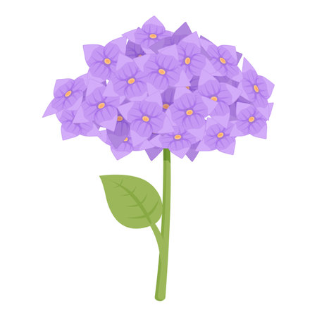 Purple flower icon cartoon vector. Garden hydrangea. Bloom beautyのイラスト素材