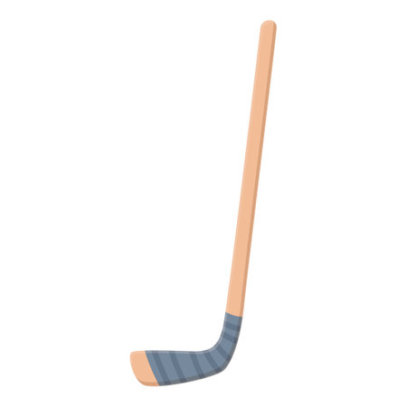 Sport stick icon cartoon vector. Game score surface. Fiber materialのイラスト素材