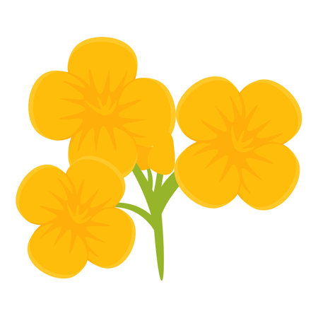 Farming rape flower icon cartoon vector. Extract food. Farm elegantのイラスト素材