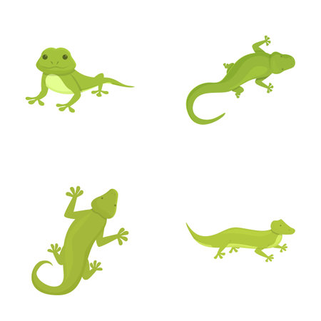 Gecko icons set cartoon vector. Cute cartoon green lizard. Animal, amphibianのイラスト素材
