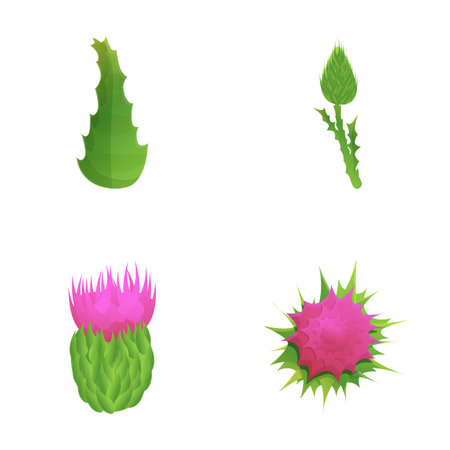 Thistle plant icons set cartoon vector. Purple flowering thistle with leaf. Field floral plantのイラスト素材