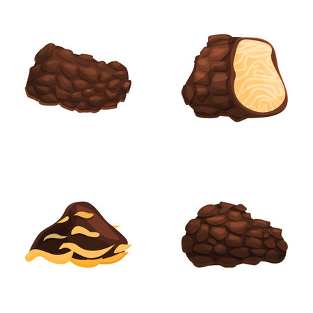 Truffle icons set cartoon vector. Delicacy mushroom black truffle. Rare and expensive vegetableのイラスト素材