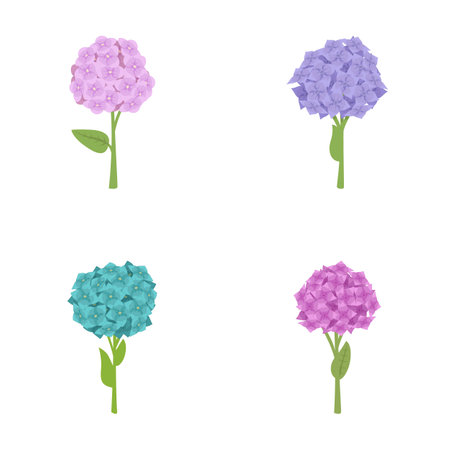 Hydrangea icons set cartoon vector. Colorful blooming hydrangea flower. Nature, plantのイラスト素材