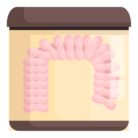 Detailed educational illustration of human intestine anatomy for medical and science study purposesのイラスト素材