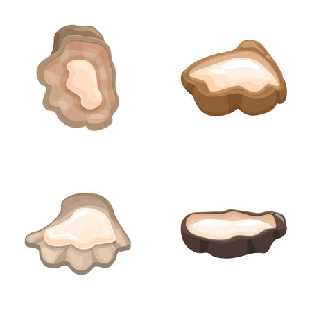 Collection of four stylized oyster mushroom illustrations with a soft, dimensional aestheticのイラスト素材