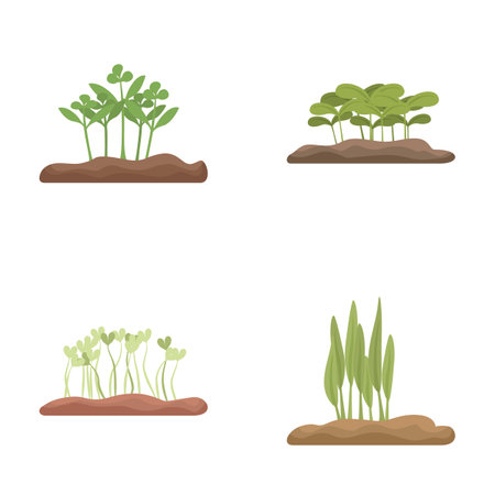 Four stages of plant growth from sprouting to mature plant, on white backgroundのイラスト素材
