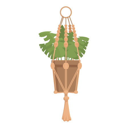 Monstera deliciosa is growing in a terracotta pot hanging from the ceiling in a macrame plant hangerのイラスト素材