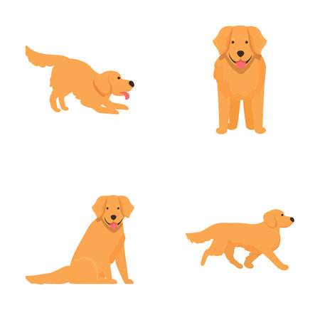 Collection of playful and cute labrador retriever dogs in various poses isolated on white backgroundのイラスト素材