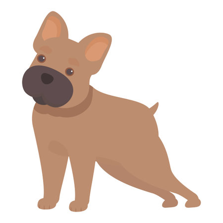 Cute french bulldog puppy is standing and looking curiousのイラスト素材