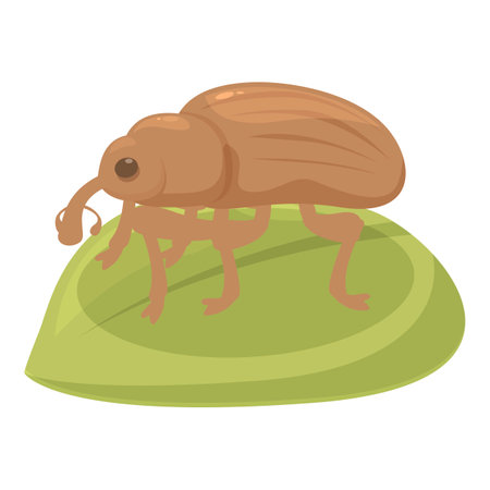 Brown beetle standing on a green leaf illustrationのイラスト素材