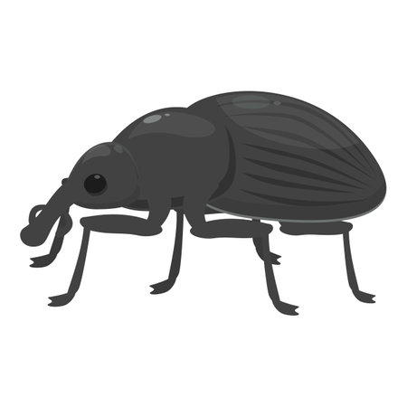 Black weevil is standing on six legs, an illustration of the common garden pestのイラスト素材