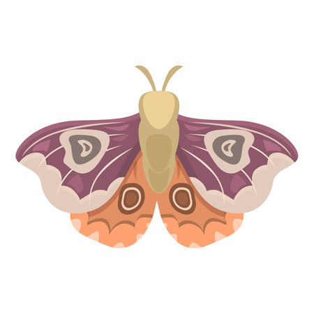 Colorful moth with orange and purple wings is spreading its wingsのイラスト素材