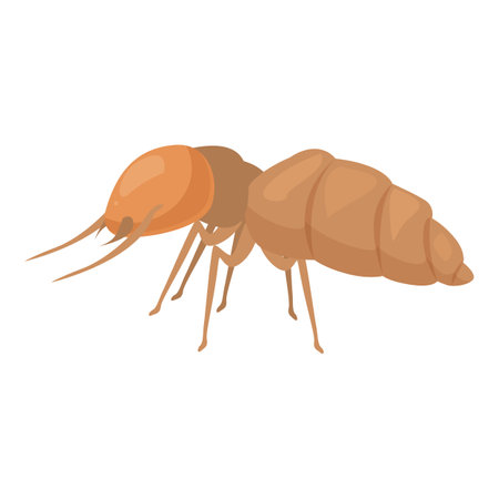 Termite is walking and searching for food to bring back to the colonyのイラスト素材
