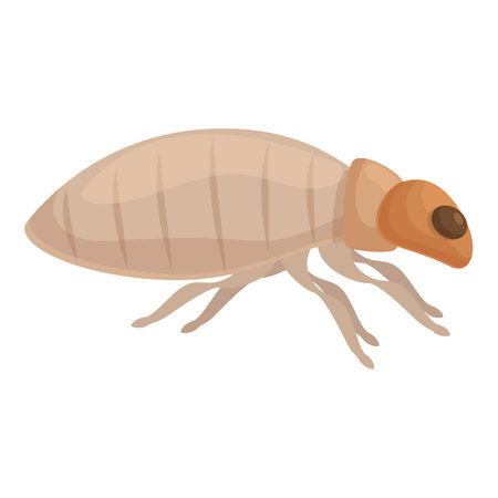 Bark beetle walking side view, pest control and extermination service logoのイラスト素材