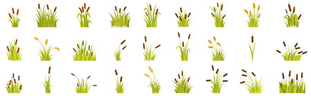 Grass reed icons set. Collection of green reed plants growing in swampのイラスト素材
