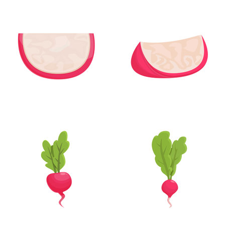 Colorful illustration featuring stylized ham slices and whole radishes with leaves ideal for foodrelated designのイラスト素材
