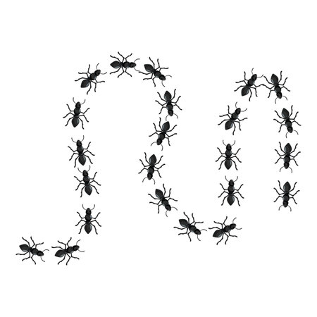 Many black ants are forming the number zero by walking on a white surfaceのイラスト素材