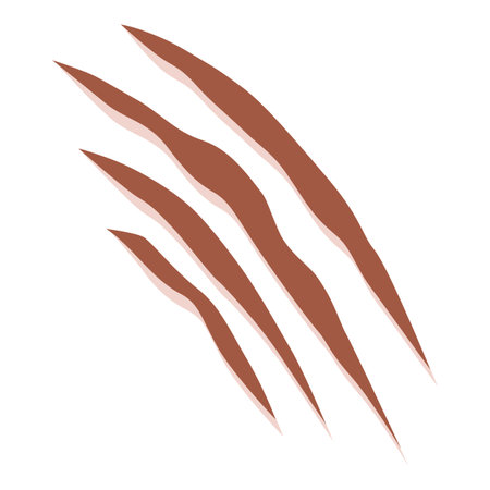 Four diagonal claw or scratch marks are leaving trails on a white backgroundのイラスト素材