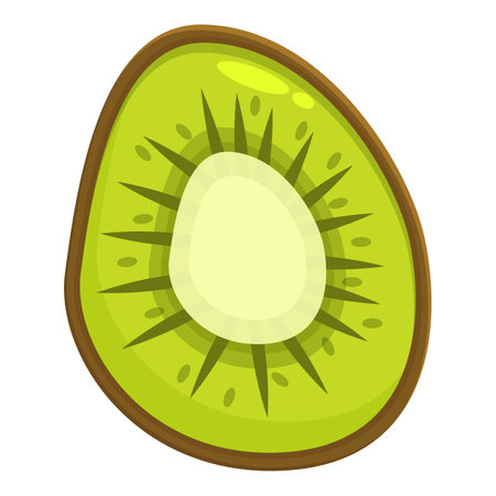 Kiwi fruit cut in half showing the juicy green flesh, seeds, and brown skinのイラスト素材