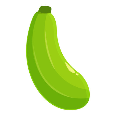 Single ripe green zucchini is lying on its sideのイラスト素材